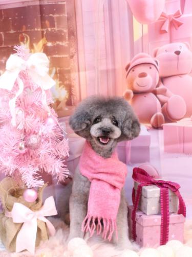 20241230るいくん